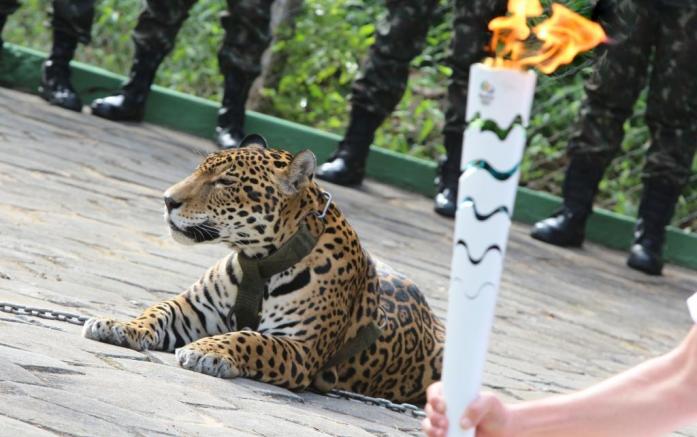 119676_697x437_crop_5768664bb1cb7