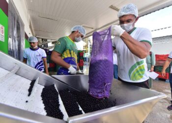 Foto: Reprodução/ Secom