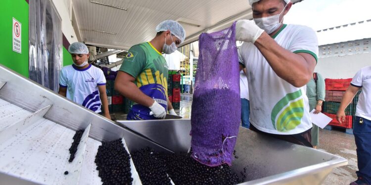 Foto: Reprodução/ Secom