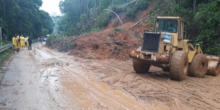 Foto: Daniela Carla / TV Gazeta