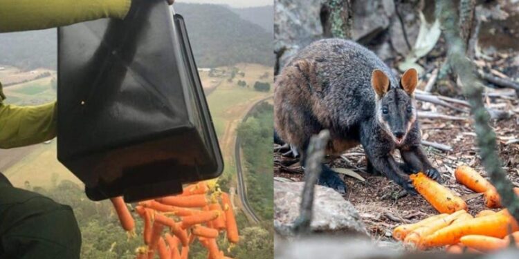 Foto: Reprodução/ Twitter