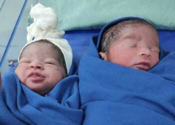 Foto: Divulgação/SMS