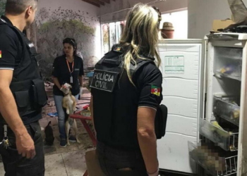 Foto: Polícia Civil do Rio Grande do Sul/Divulgação
