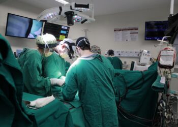 Foto: Divulgação Susam