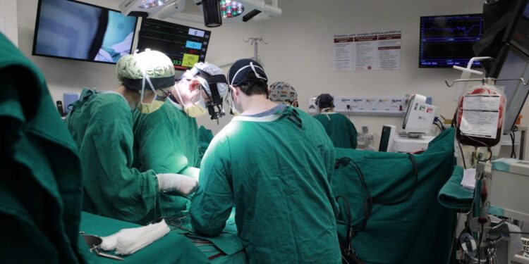 Foto: Divulgação Susam