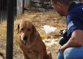 Foto: Matias Moura/Jornal A Platéia