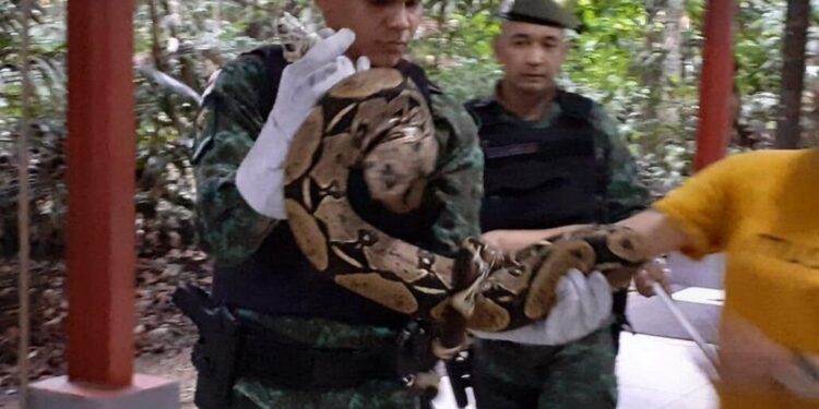 Foto: Divulgação/PM-AM