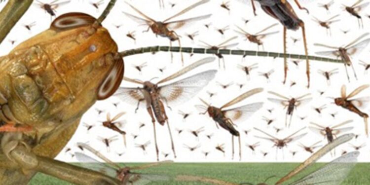 Foto: Reprodução Internet