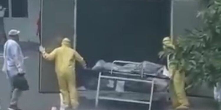 Foto; Reprodução Internet