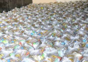 Fotos: Chamel Flores