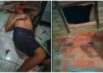 Foto: Reprodução/WhatsApp