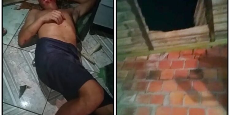 Foto: Reprodução/WhatsApp