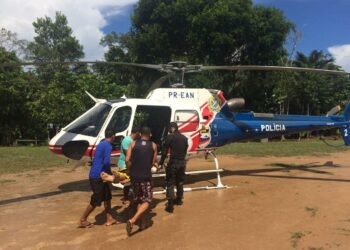 Foto: Jhemisson Marinho/SSP-AM e Divulgação DIOA