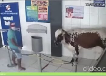 Foto: Redes Sociais/Reprodução