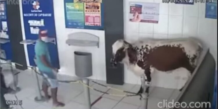 Foto: Redes Sociais/Reprodução