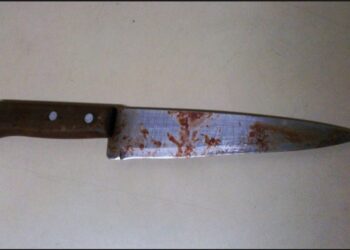 Foto: Reprodução / Internet