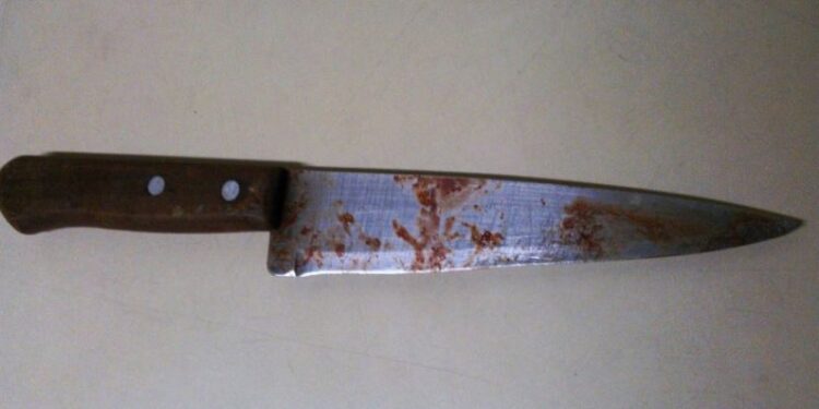 Foto: Reprodução / Internet