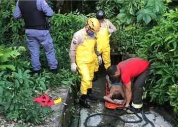 Foto: Reprodução / WhatsApp