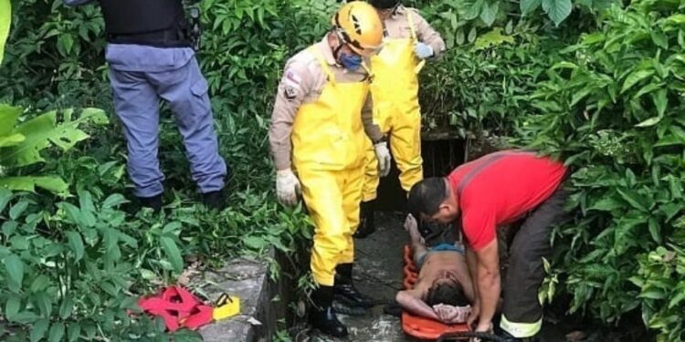 Foto: Reprodução / WhatsApp