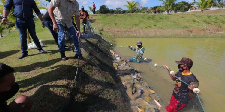 FOTO: Diego Peres/Secom