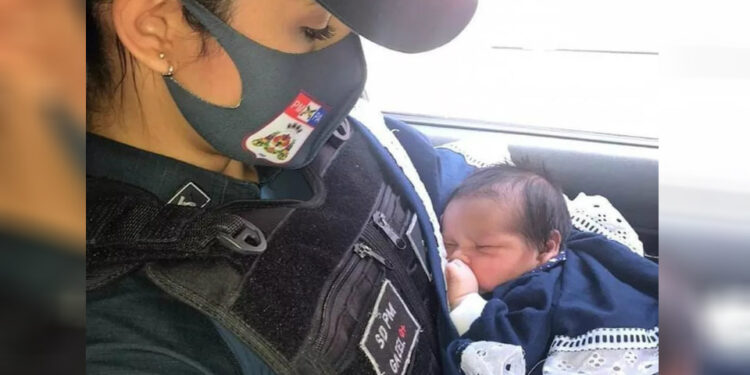 Foto: Divulgação PM