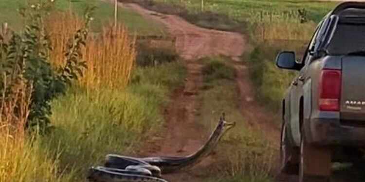 Foto Natalia Jacintho