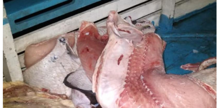 Divulgação Polícia Militar/AM