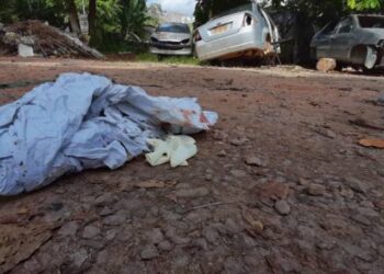 Foto: Yago Frota/GDC