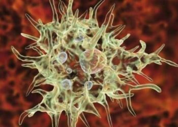 Foto: Getty Images/ BBC