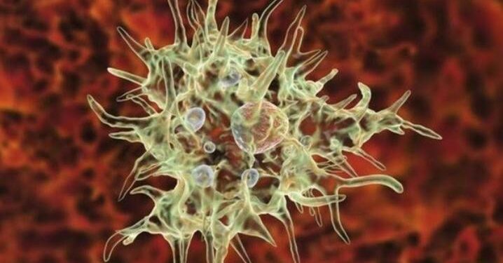 Foto: Getty Images/ BBC