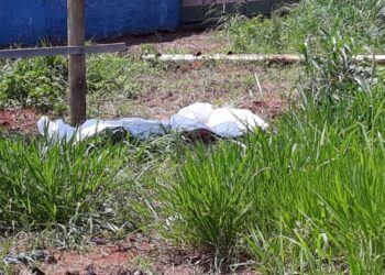 Imagem ilustrativa / Reprodução