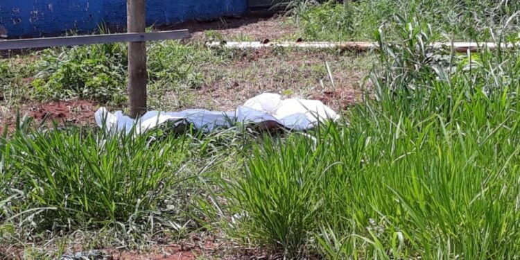 Imagem ilustrativa / Reprodução