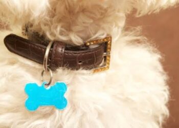 Imagem: Getty Images/iStockphoto