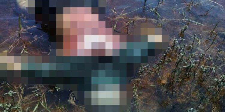 Foto: Divulgação Polícia Militar/AM