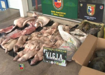 Foto:Divulgação Polícia Militar/