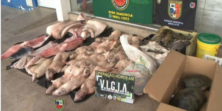 Foto:Divulgação Polícia Militar/