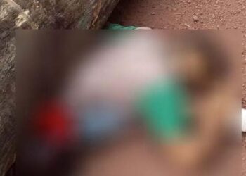 FOTO MERAMENTE ILUSTRATIVA