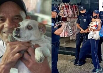 Foto: Reprodução Internet