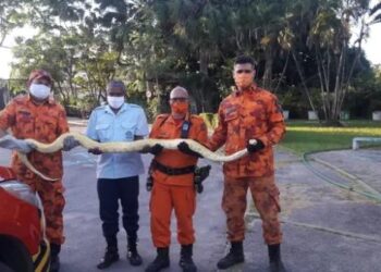 Foto; Divulgação/ Corpo de Bombeiros