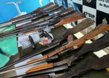 Foto: Divulgação/SSP-AM