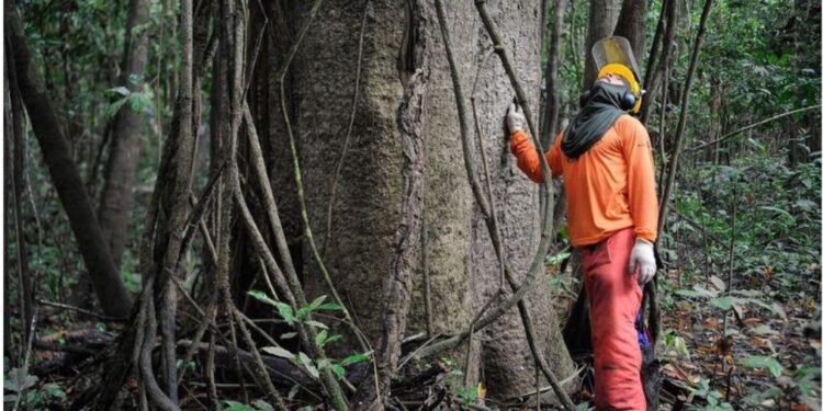 Foto:Reprodução/Tomaz Silva/Agência Brasil