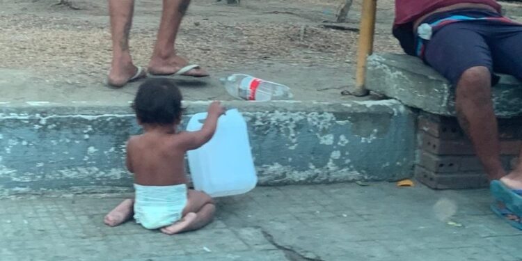 Foto: Divulgação/PC-AM