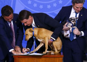 Foto: Marcelo Camargo/Agência Brasil