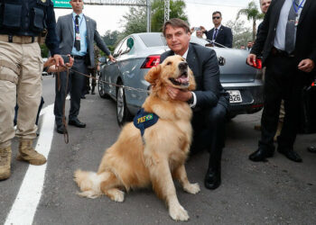 (Bento Gonçalves - RS, 05/12/2019) Presidente da República Jair Bolsonaro, posa para fotografia com cachorro e seu guia da Polícia Rodoviária Federal.rFoto: Alan Santos/PR