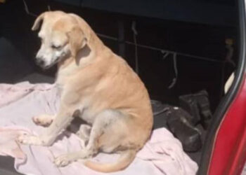 Foto: Reprodução/Instagram