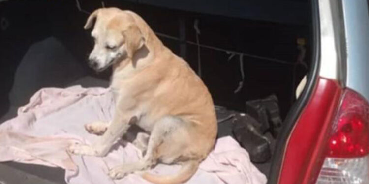 Foto: Reprodução/Instagram