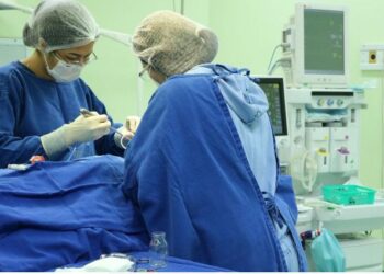 Foto: Laís Pompeu/FCecon