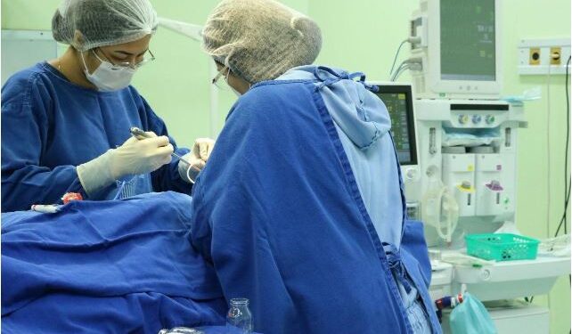 Foto: Laís Pompeu/FCecon