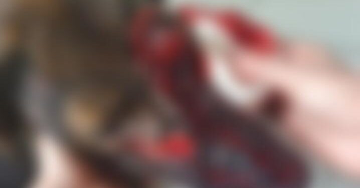 Foto: Reprodução/ @todosporAriel