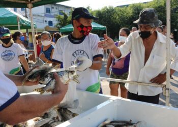 FOTOS: Tizziana Barbosa